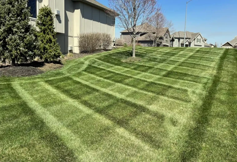 A carefully-mowed lawn of deep green grass is next to a home with sharp diagonal mowing lines.