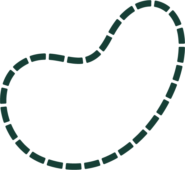 An illustration containing a dotted dark green line in the shape of a garden bed.